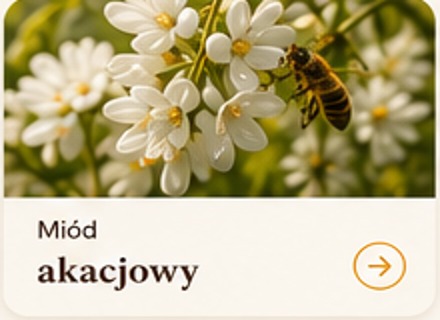 Kwiaty akacji