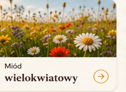 Łąka kwiatowa