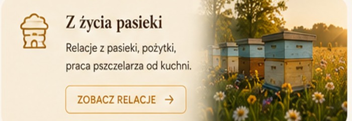 Z życia pasieki